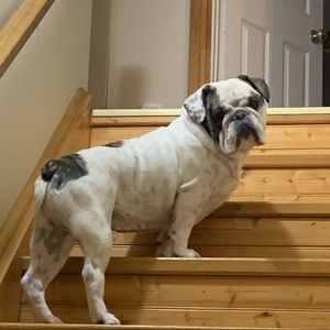 Meet your Posher, Emma